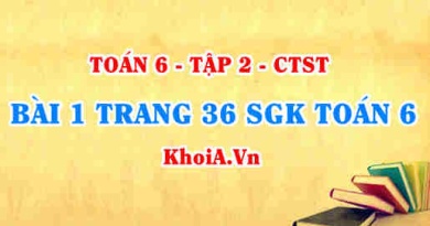 Bài 1 trang 36 SGK Toán 6 Tập 2 Chân trời sáng tạo